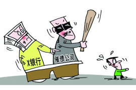 李宝敏打催收员：维权之路的启示